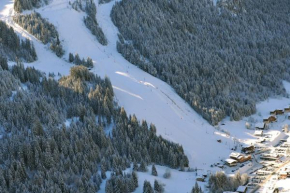 Appartement pied des pistes 6 personnes Châtel